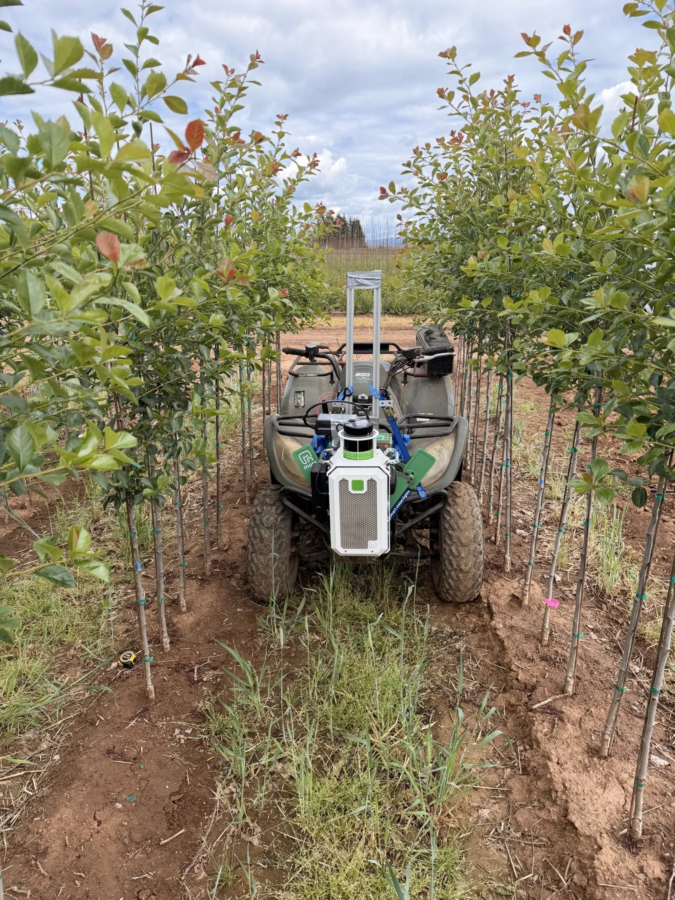 The moss kit mounted on the front of an ATV between two rows of young nursery trees