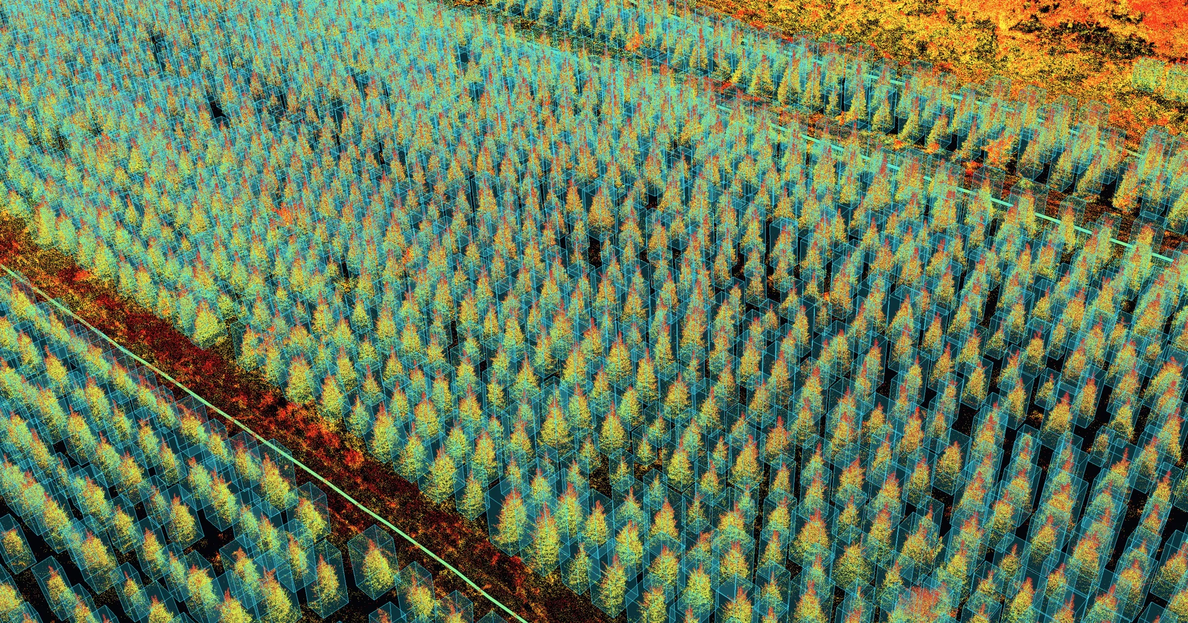 A moss point cloud of young trees, colored by height
